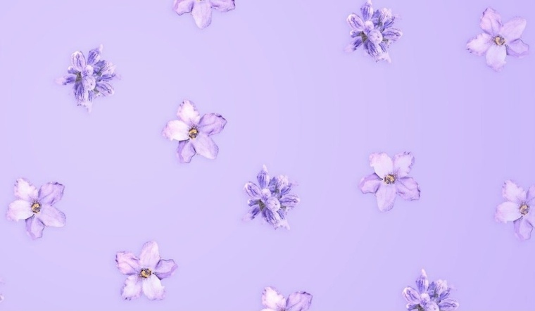 ๐Lav๐ banner image