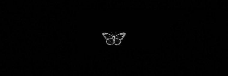 𝕹𝖎𝖓𝖆 🏳️‍⚧️ cover image
