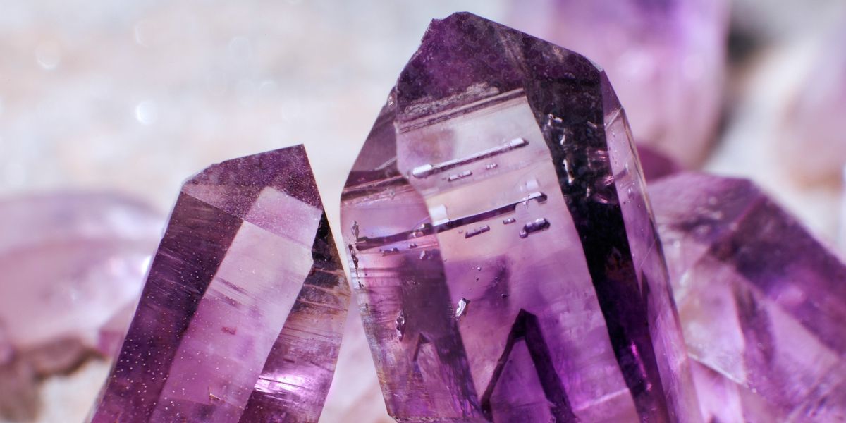 Lauren banner image