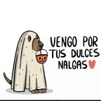 La Wera gt avatar