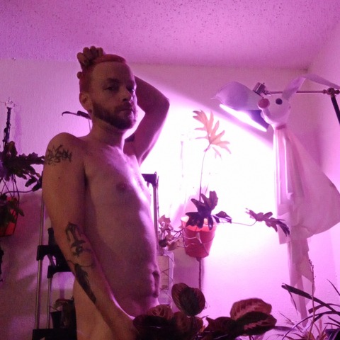 Lawsonray cover image