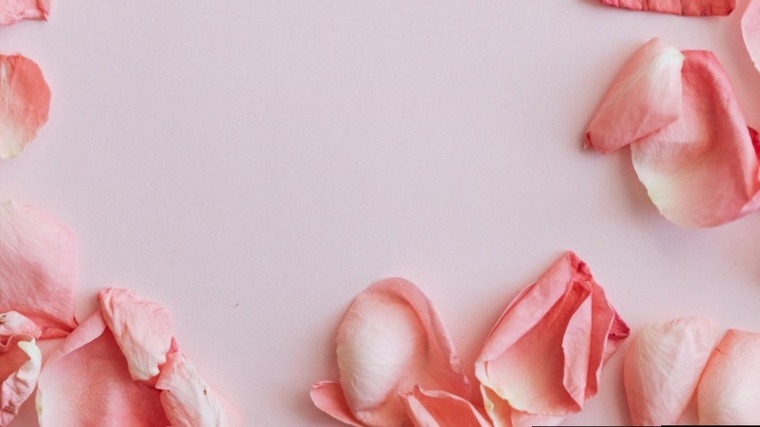 Layla Lovely banner image