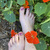 Layla Darby avatar
