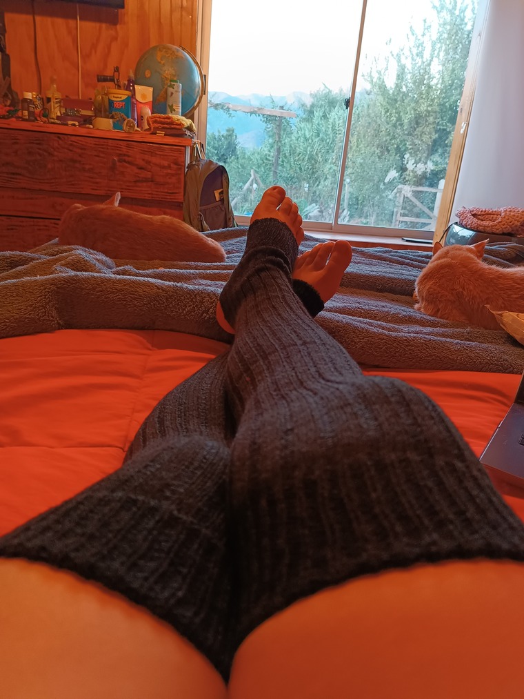 lazyhot cover image