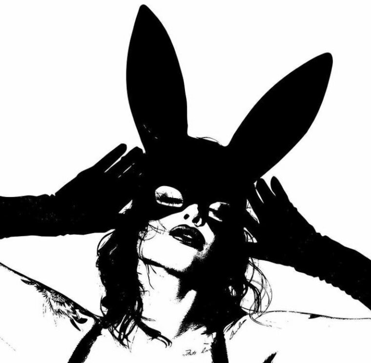 La chica Del antifaz cover image
