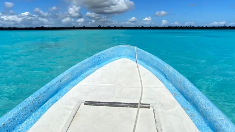 Julien banner image