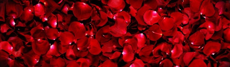 Lea Lea cover image