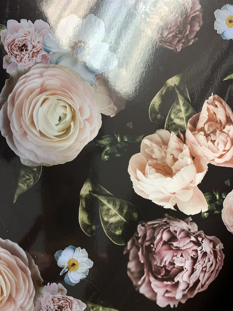 Leah cover image