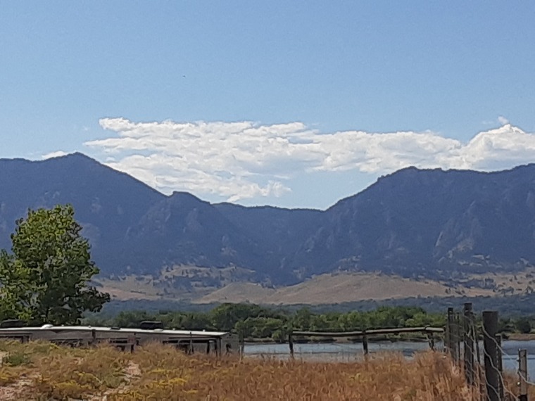 Austyn banner image