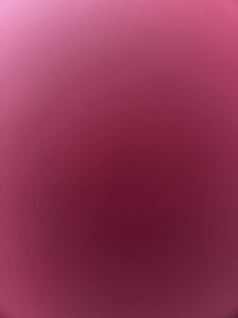 leannee banner image