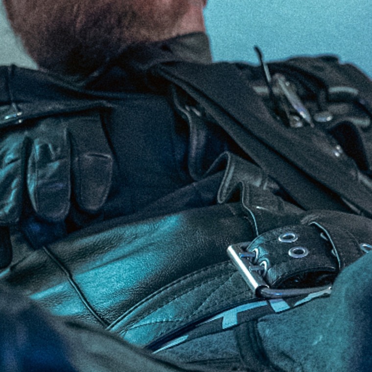 Free Wolf banner image