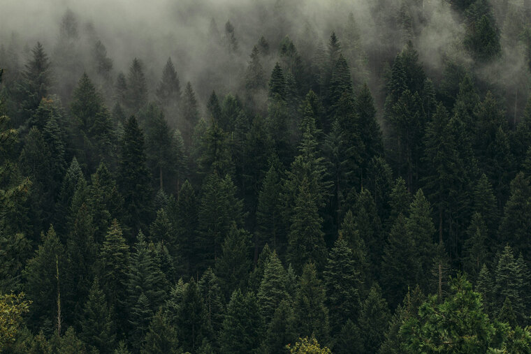 Leðurblöku cover image