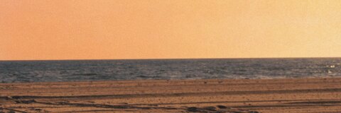 Leedpt cover image