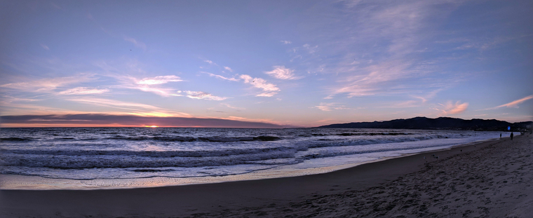 Lee Lynne banner image