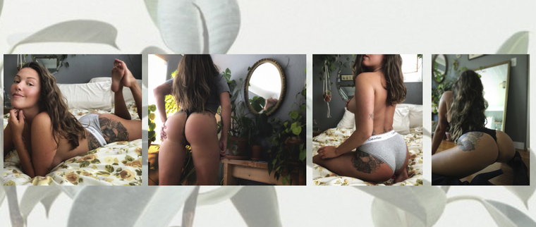 Lee Taylor cover image