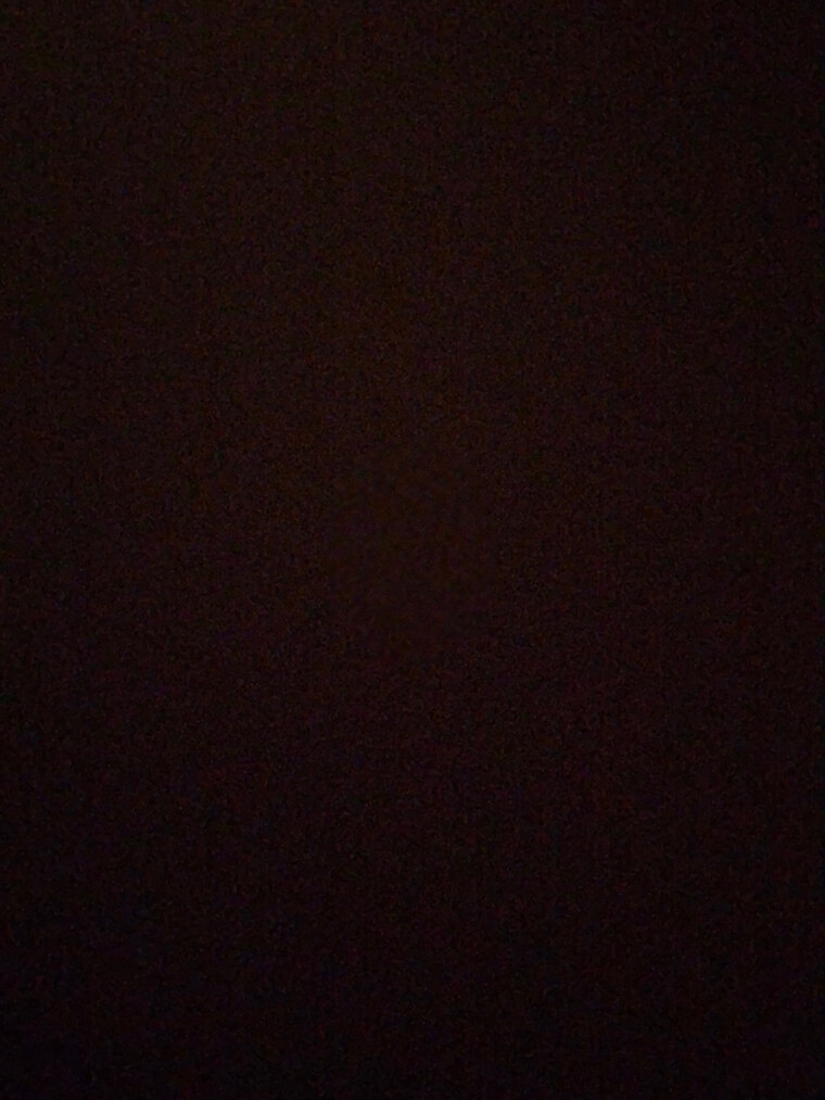 THELEGSPLITTER cover image