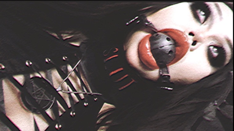 LeileiVon banner image
