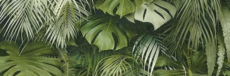 LELIAH ✨ banner image