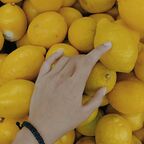 Lemon Lime avatar