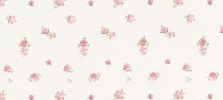 Lena cover image