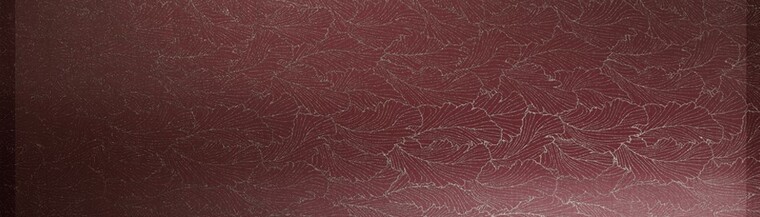 Leony banner image