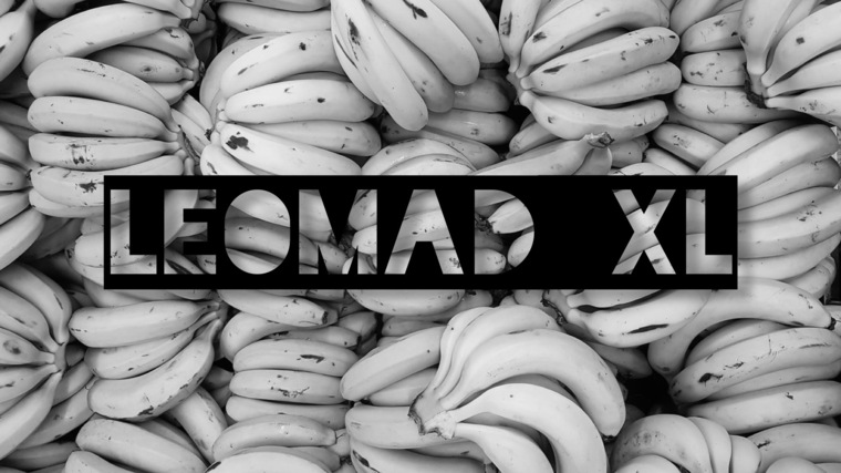 Leo XL Spanish Bull 🦬 FREE banner image