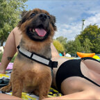 Leonard-Your best little hairy friend 🐕 avatar