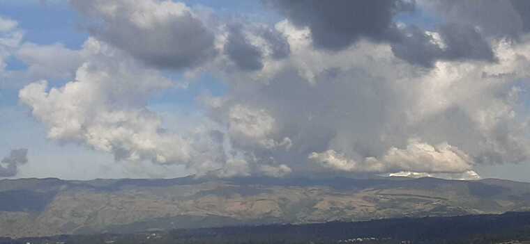 PELINEGRA cover image