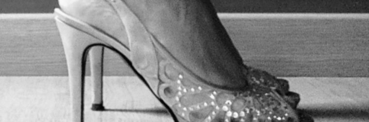 Leoninaslippy piedini ed intimo usato cover image