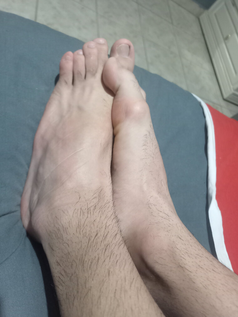 Leo Pies 👣 cover image