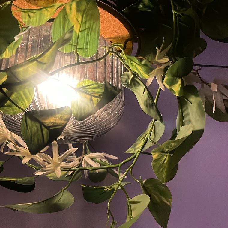 Leroi cover image