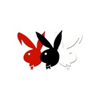 Les Bunnies avatar