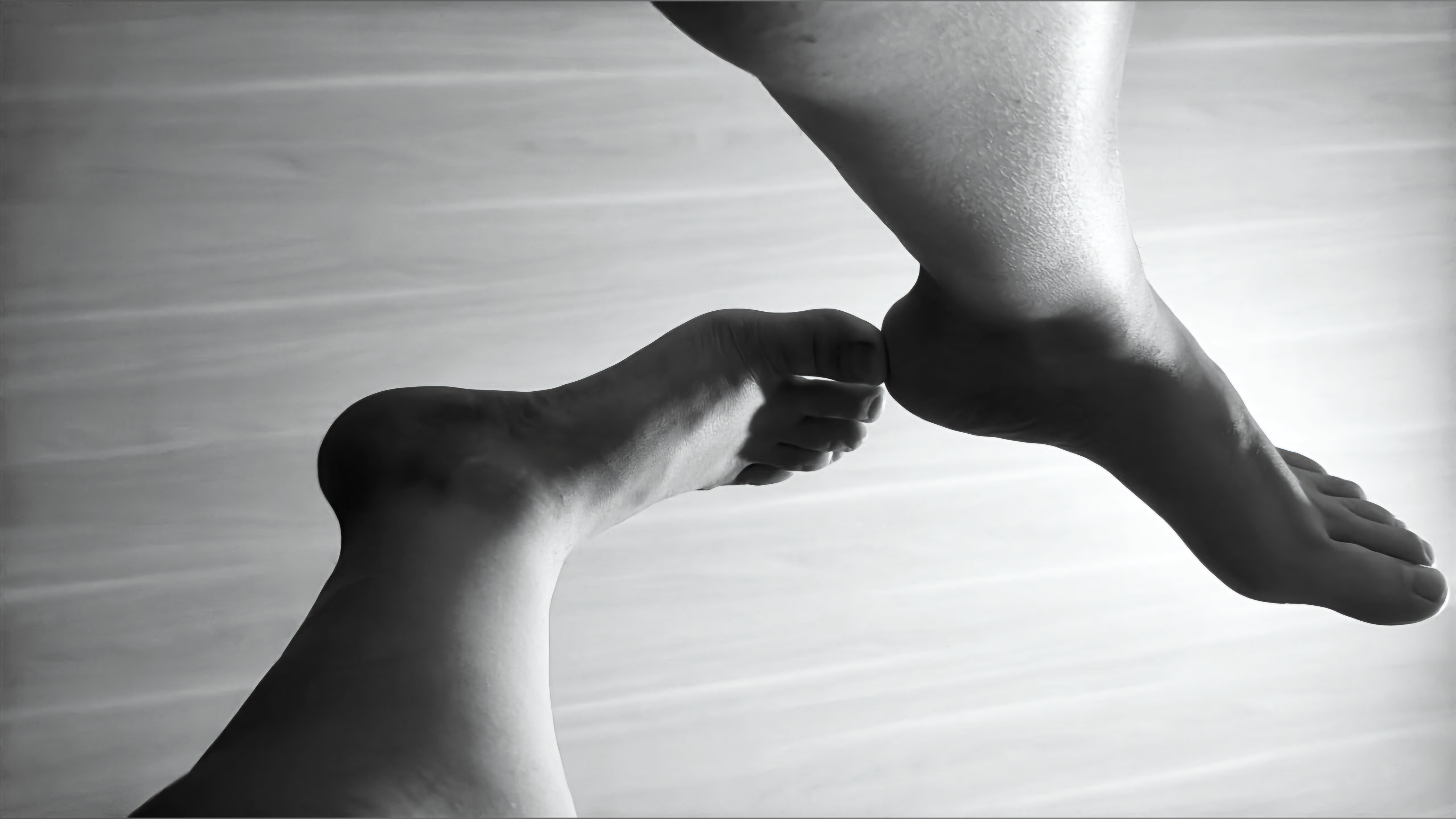 Les Petites Feet banner image