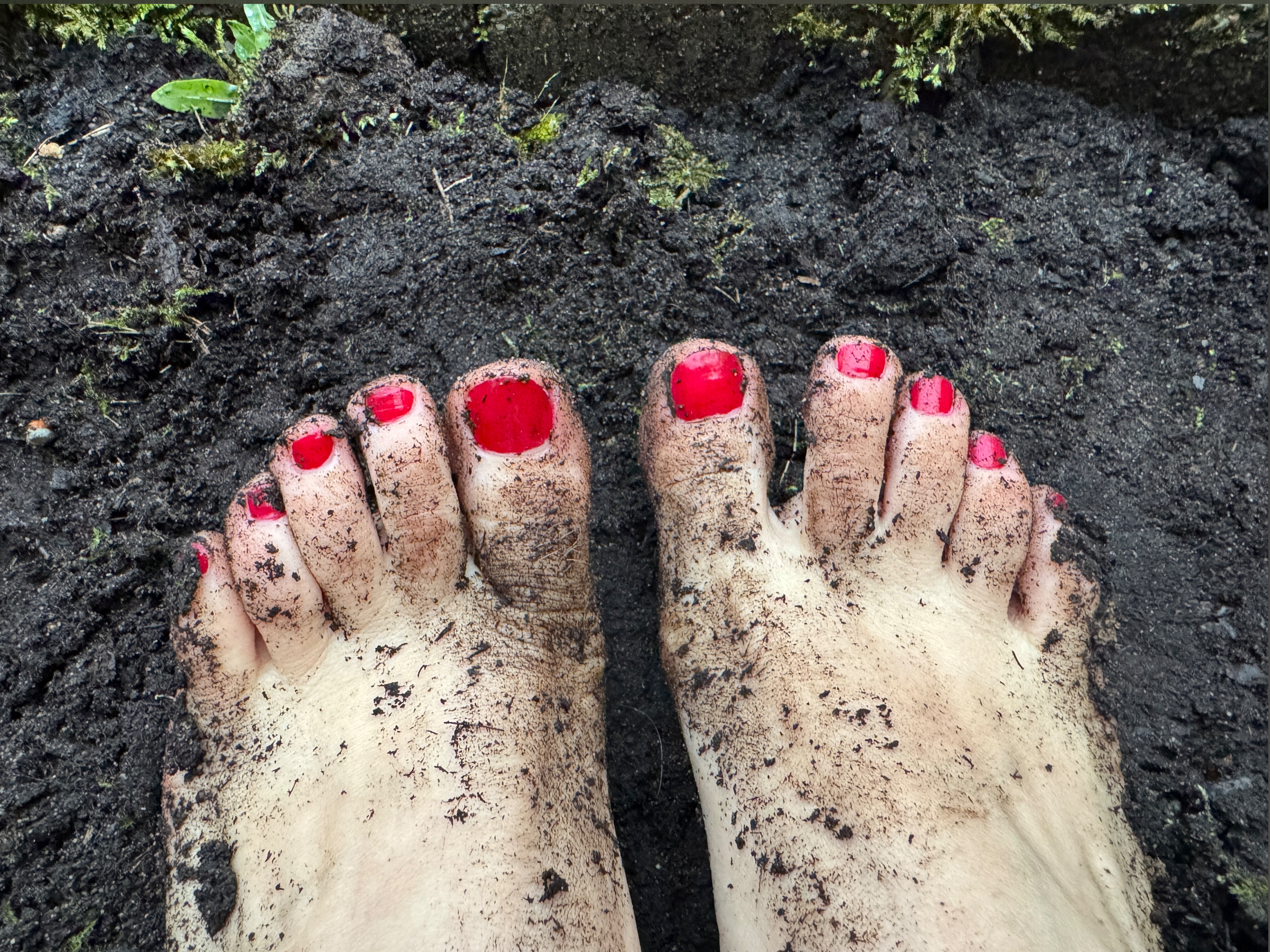 Letmefeetyou banner image