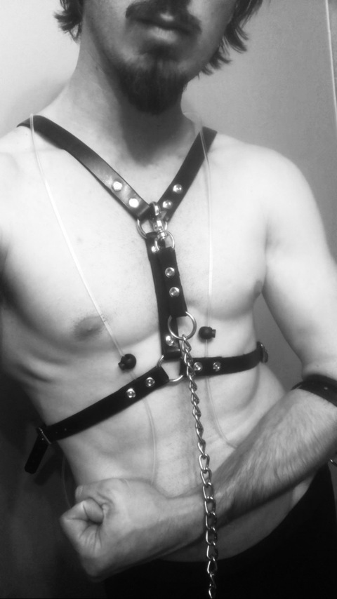 Levi Sparks cover image