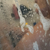 Lewd-e-v avatar