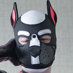 FeynirHusky avatar