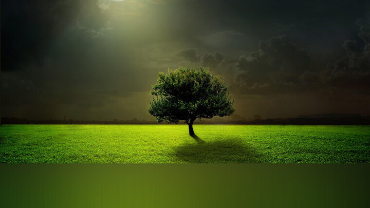 Lex Durov banner image