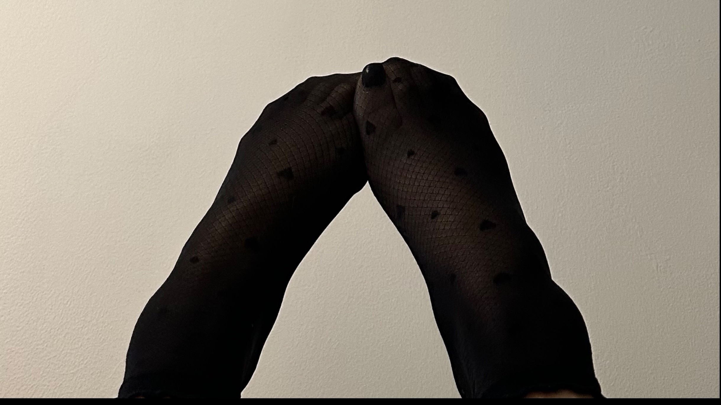 Lexie Miura banner image