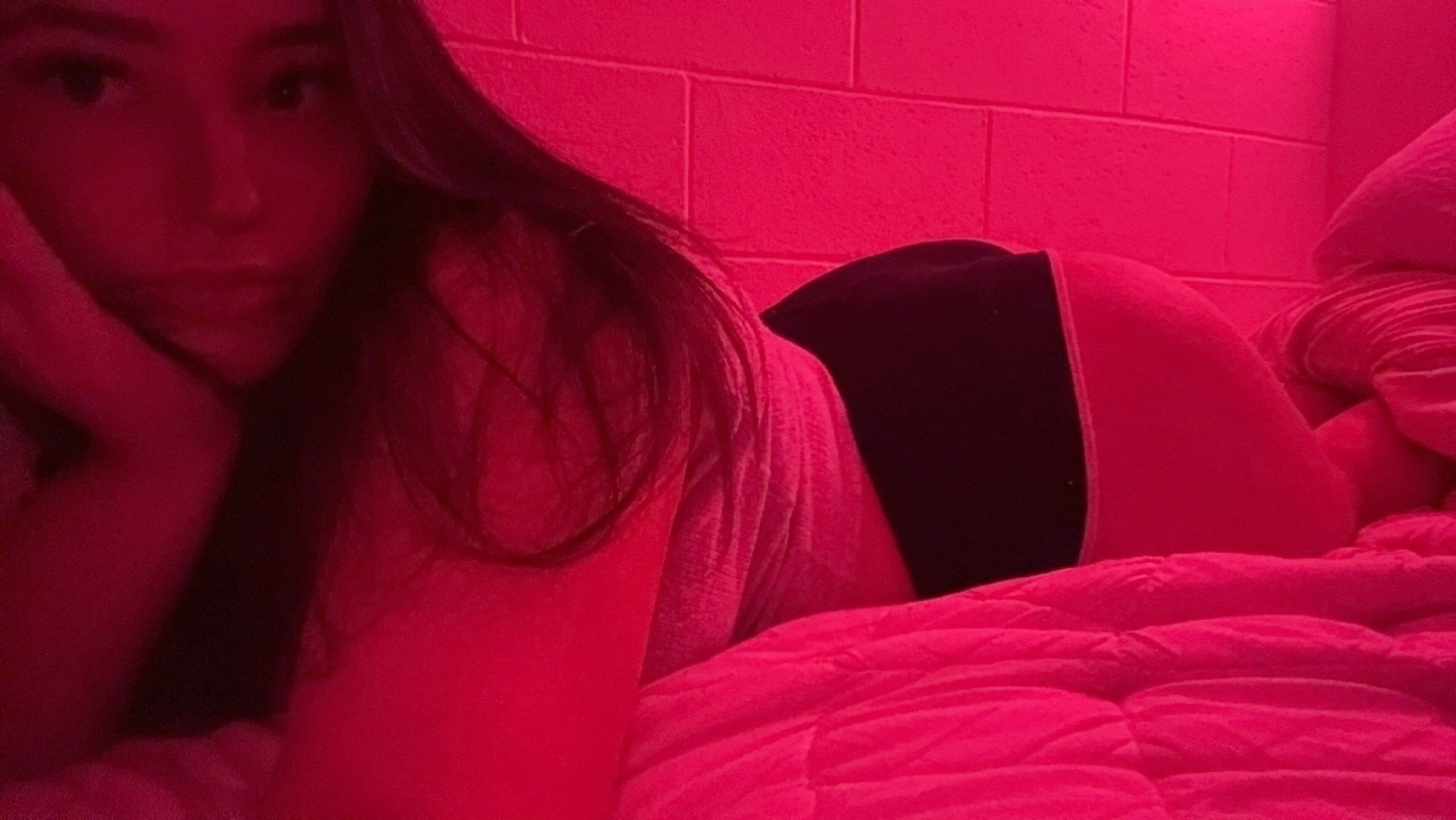 Lexifoxx banner image