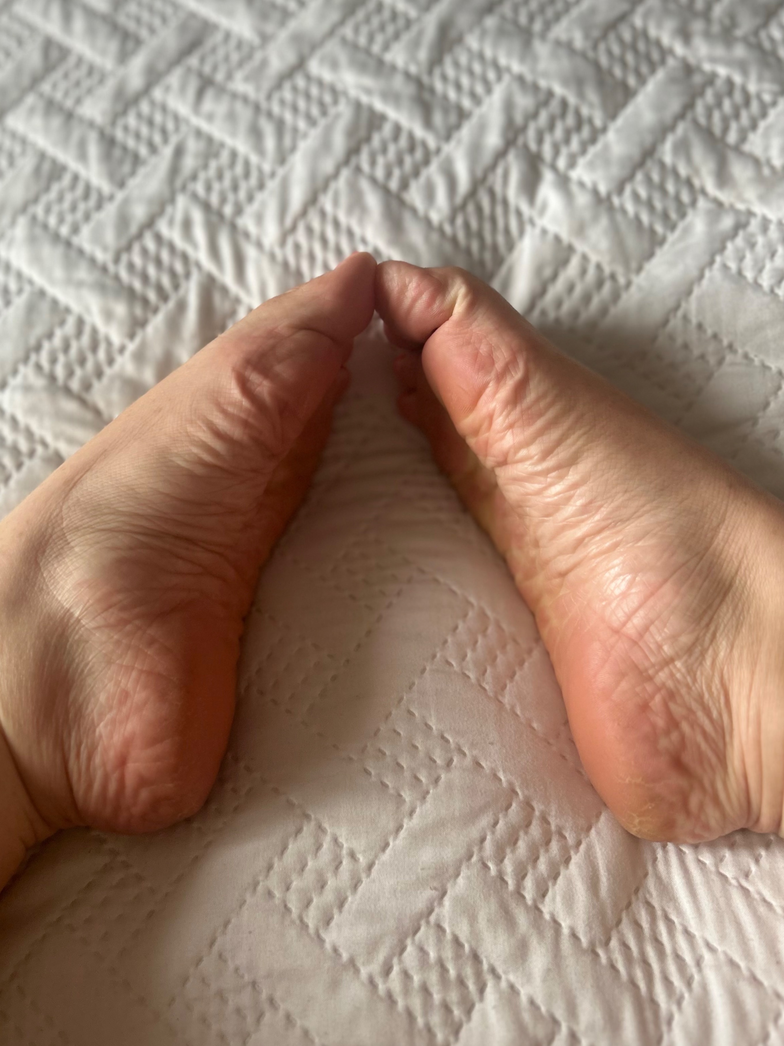 LexiJ banner image
