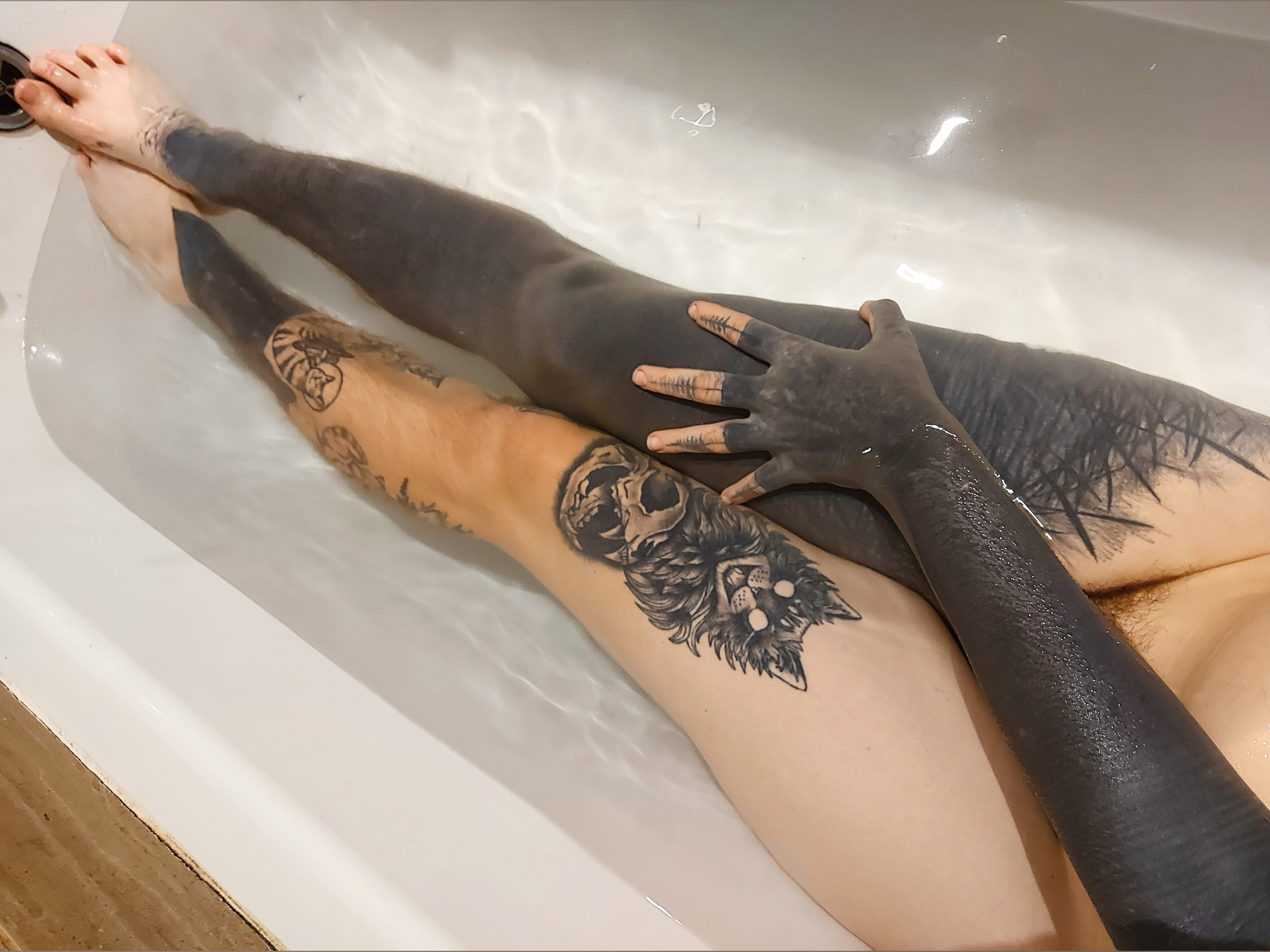 Lexi banner image