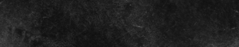 Lexi Wood banner image