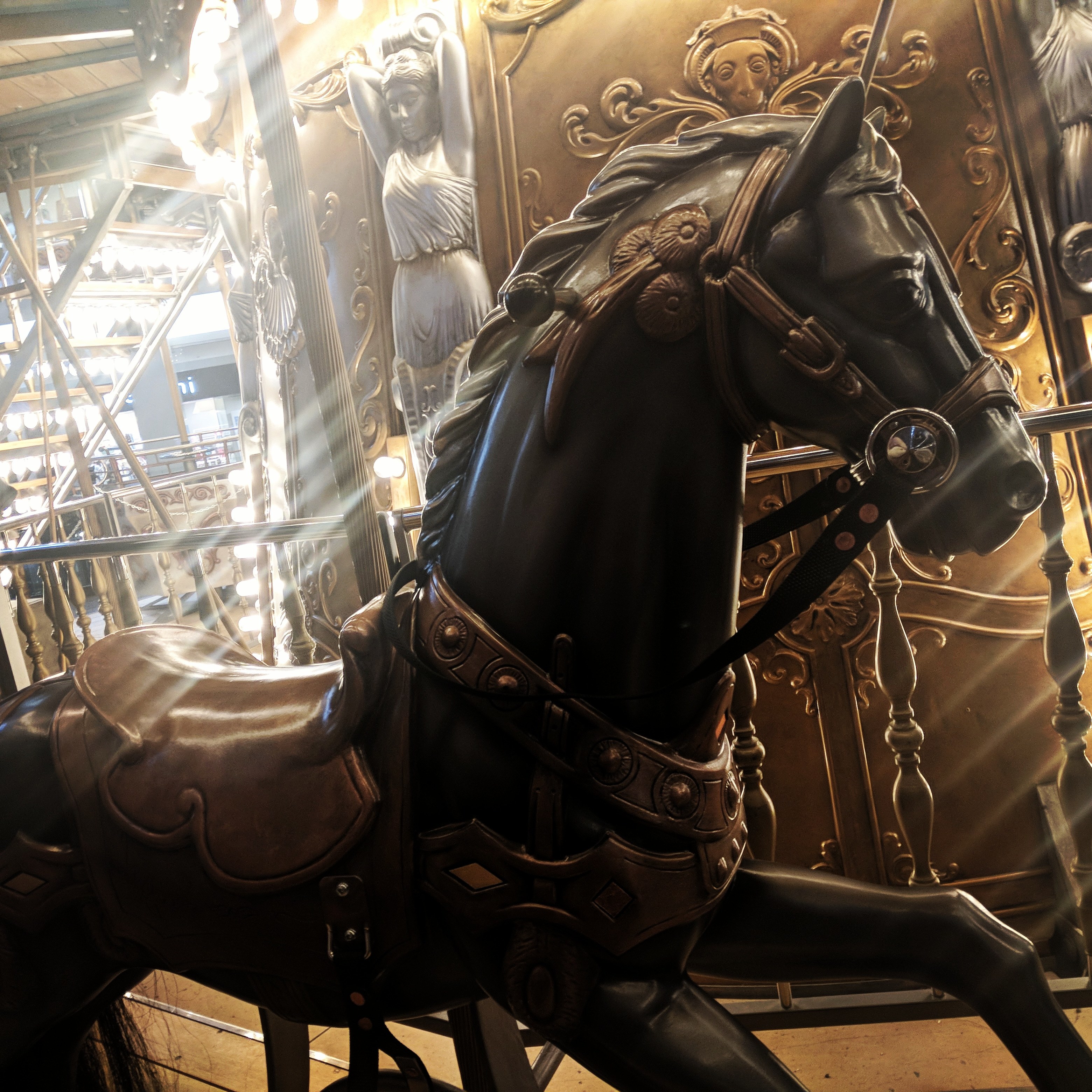 Lexxi banner image