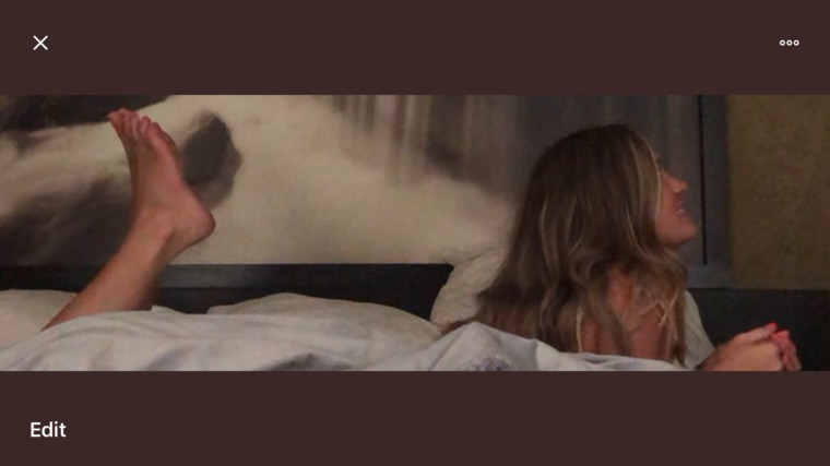 Lexy banner image
