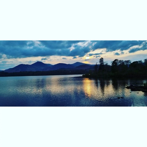 Lezbhonest cover image
