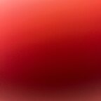 u256709043 avatar