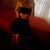 Lia Monroe avatar