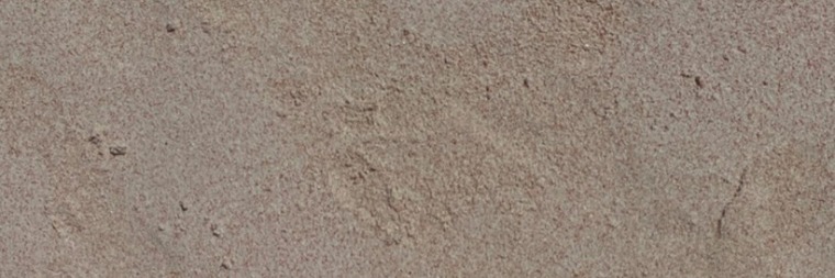 lianinrose cover image