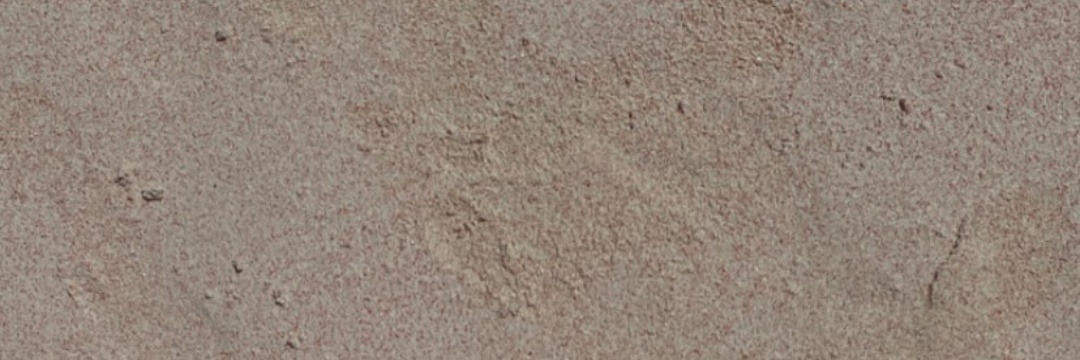 lianinrose banner image